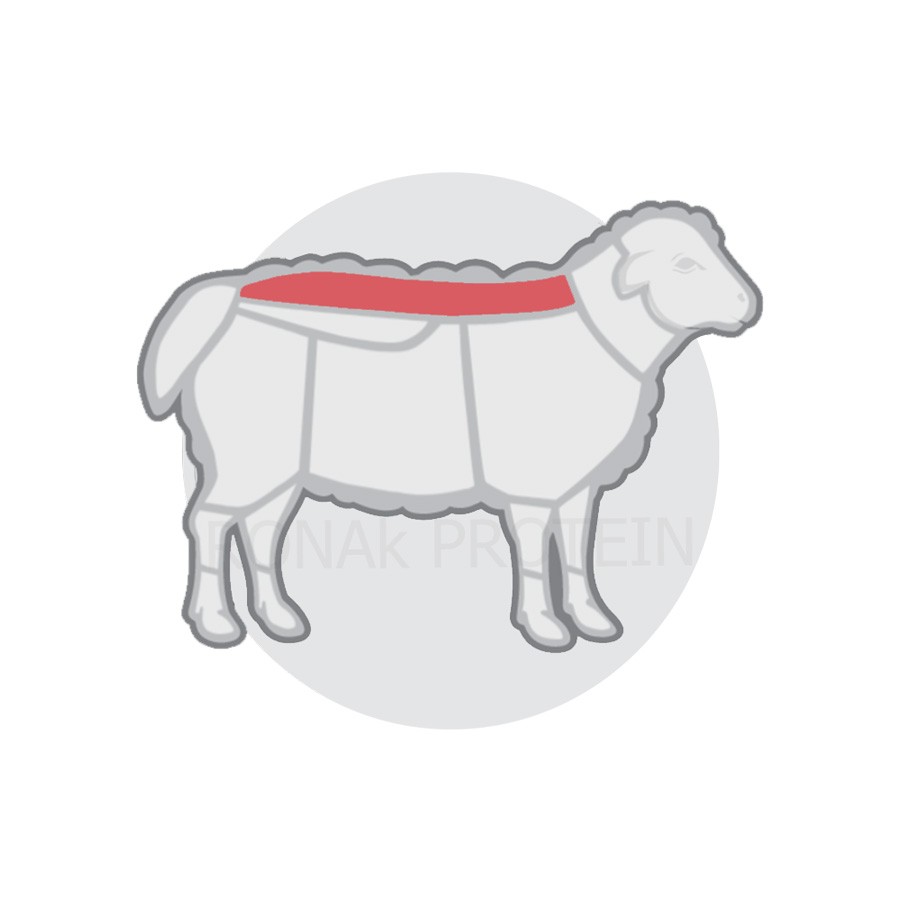 راسته شاندیزی گوسفند منجمد 20 کیلوگرم